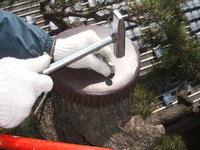 松の幹を切った箇所の板金笠木施工状況です。