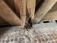シロアリの被害がありました。
床下の風通しが悪いせいで一般居室の柱脚部でもシロアリの被害がみられました。