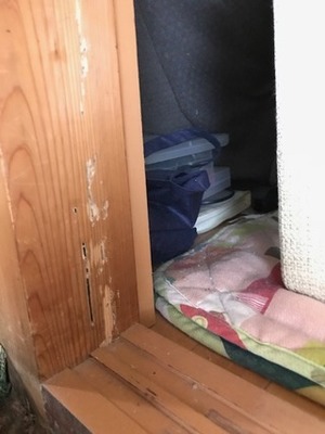 シロアリ警報発令中です。